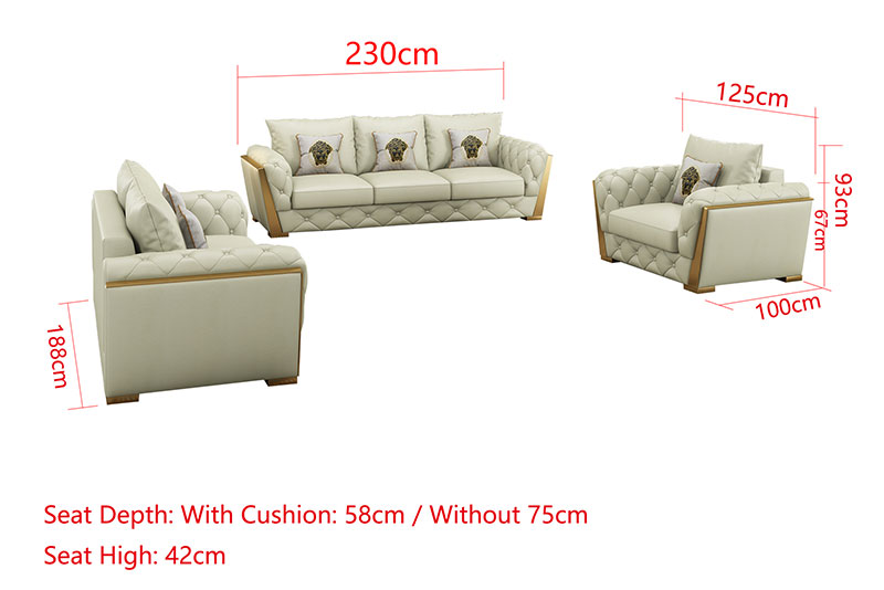 Living Room Sofa