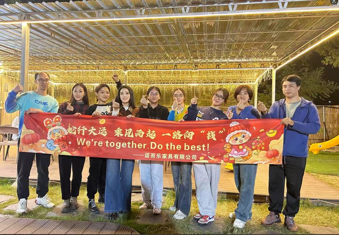 فريق أثاث ليناتيس