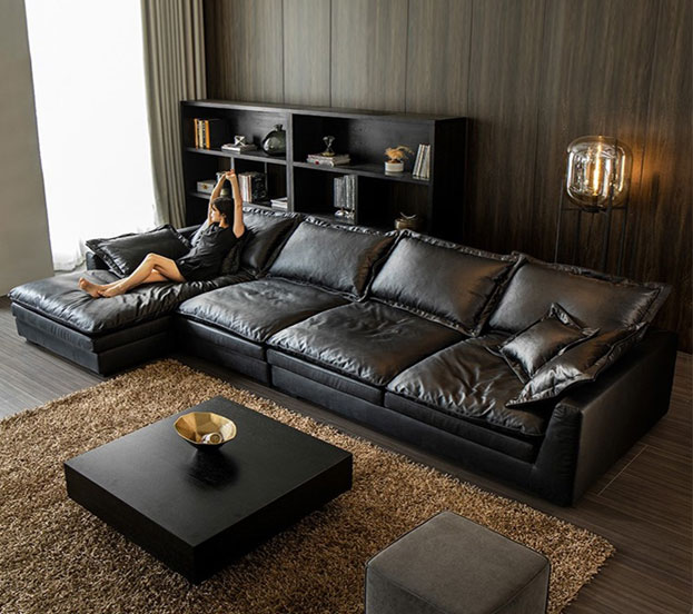 Living Room Sofa